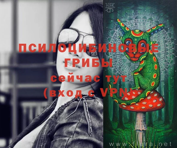 не бодяженный Нязепетровск