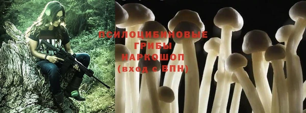 не бодяженный Нязепетровск