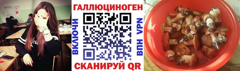 закладки Северская mega ТОР Псилоцибиновые грибы Magic Shrooms
